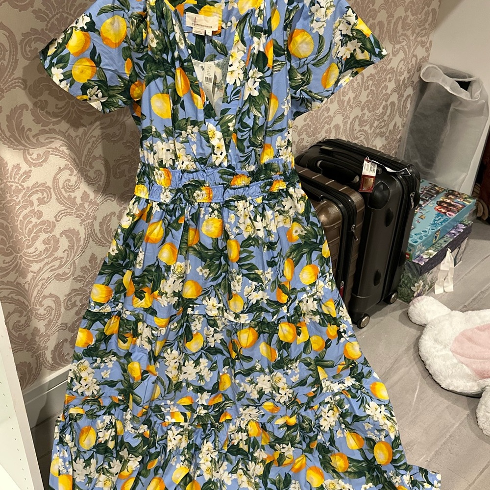 Anthropologie the somerset maxi dress IRIS BLUE